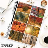 Majestic Fall #202 || Short Boxes